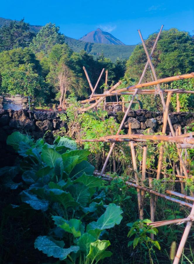 Quinta Pereirinha Farm - A Private 3 Bedroom Vacation Home, Close To Hiking W Ocean Views - Pico Island, Azores 圣罗克-笔克 外观 照片